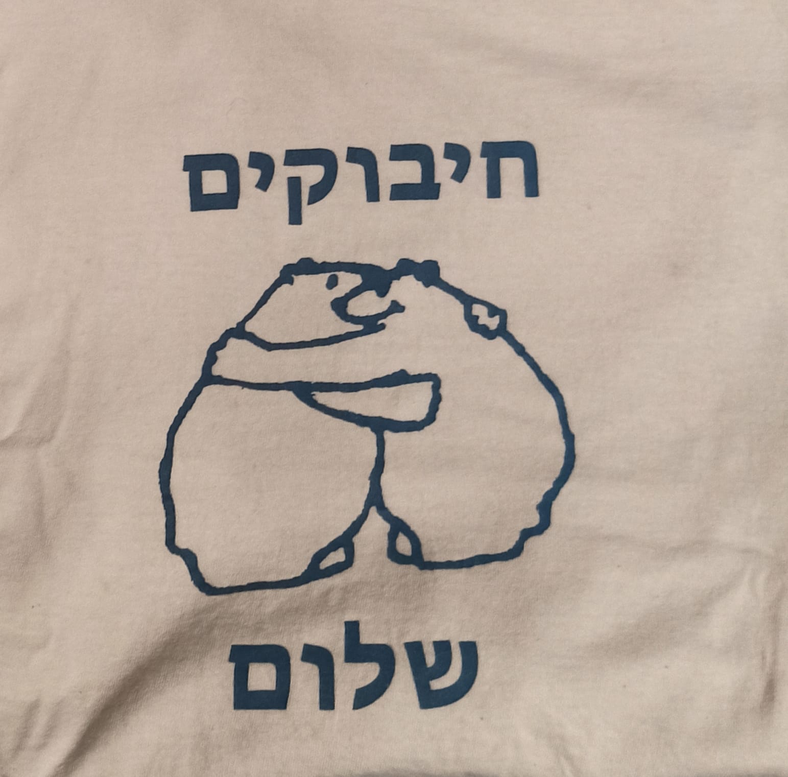 חולצה של הגן